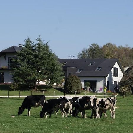 La Noue Aubain Bed and Breakfast Corbenay Exterior foto