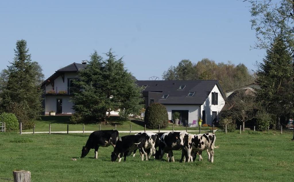 La Noue Aubain Bed and Breakfast Corbenay Exterior foto